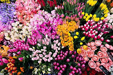 索尼在本周GDC上向开发者提供PSVR2 Demo