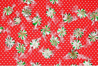 《空洞骑士：丝之歌》页面更新让玩家空欢喜一场